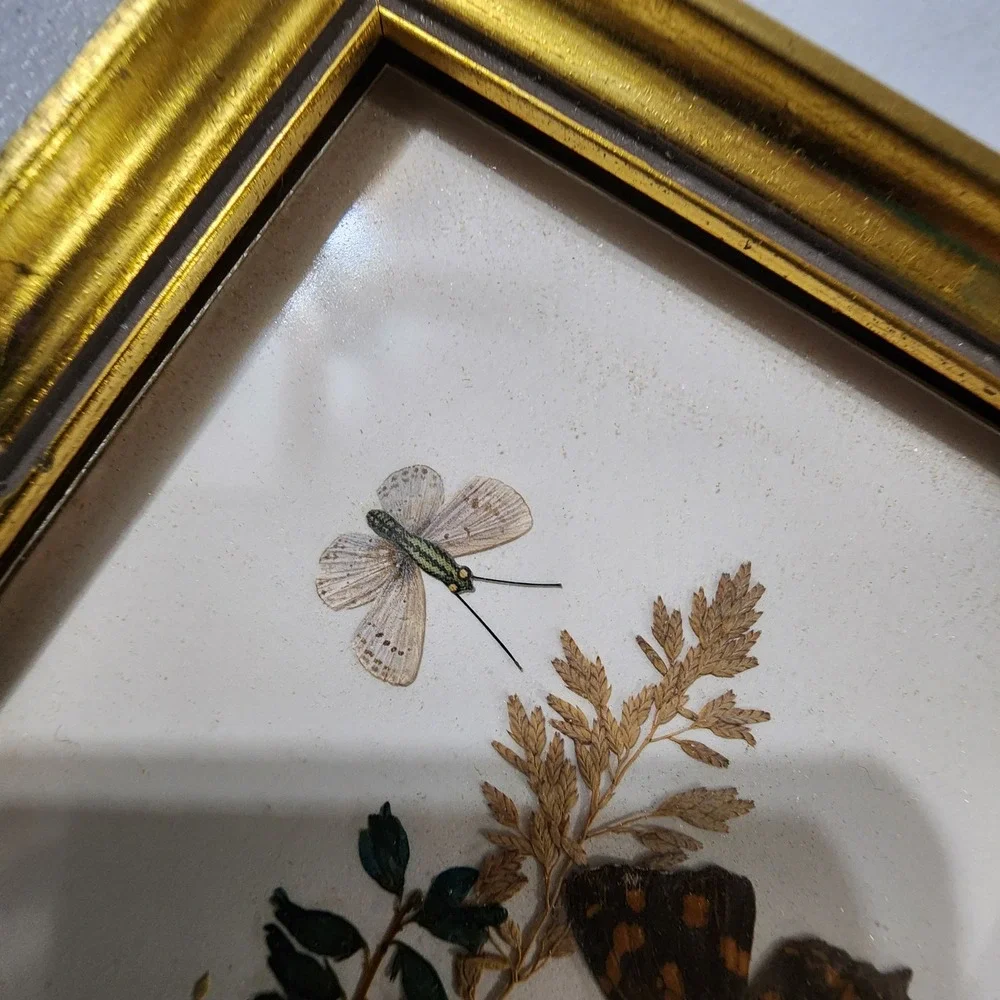 Vintage Reichlin Switzerland Pressed Flower Butterfly Art Gold Frames Set of 2